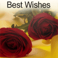 Wedding Wishes!