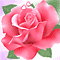 Close To My Heart!