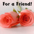 A Beautiful Flower For A Friend!