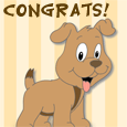 Congrats On Your New Pet!