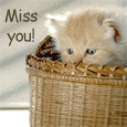 Missing You A Lot!