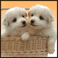 Wow Lucky To Have You!