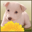 You Light Up My Life!