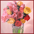 A Bunch Of Roses For A Couple!