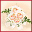 Warm Wishes For You!