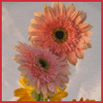 To Someone As Special As You!