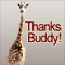 Thank You Friendship Card.