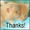 Thanks For Being With Me!