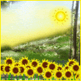 May The Sun Shine...