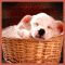 Sleep, Sleep And Sleep!