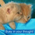 Monday Blues Are Not For Me!