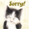 I Am Really Really Sorry!