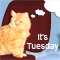 A Smile On Tuesday!
