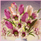 Happiness Blooms!