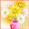 Smiling Flowers!