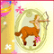 For A Lovely Sagittarian!