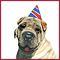 Wrinkle Free!