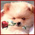 Sweet Thoughts...