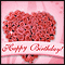 Special Birthday Roses...