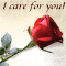 Flowers For Someone Special!