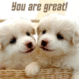 Friendship Card!