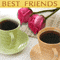 Friends Forever