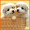 Hugged By Me!