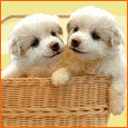Hugged By Me!