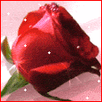 Thinking Of You...