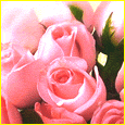Rose Month