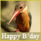 A Fun Birthday Wish!