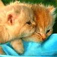 Friends Forever...