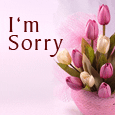 Sorry For What I Did!