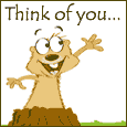 Oh Tuesday!