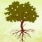 Inspirational Tree!