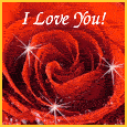 Will Love You Forever!