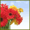 Have A Nice Day!