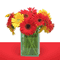 Say 'Take Care' With Flowers...