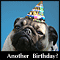 How Old In Dog Years?
