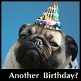 How Old In Dog Years?