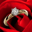 Will You Be Mine?