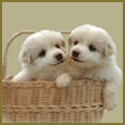 A Friend Like You...