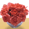 Roses For Someone You Care...