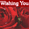 For The Couple!