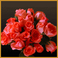 Smile Just Like These Flowers.