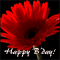A Special Birthday Greeting!