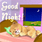 Warm Wishes!