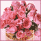 As Bright As These Roses...