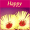 Floral Anniversary Wish!