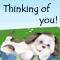 I'm Thinking Of You!